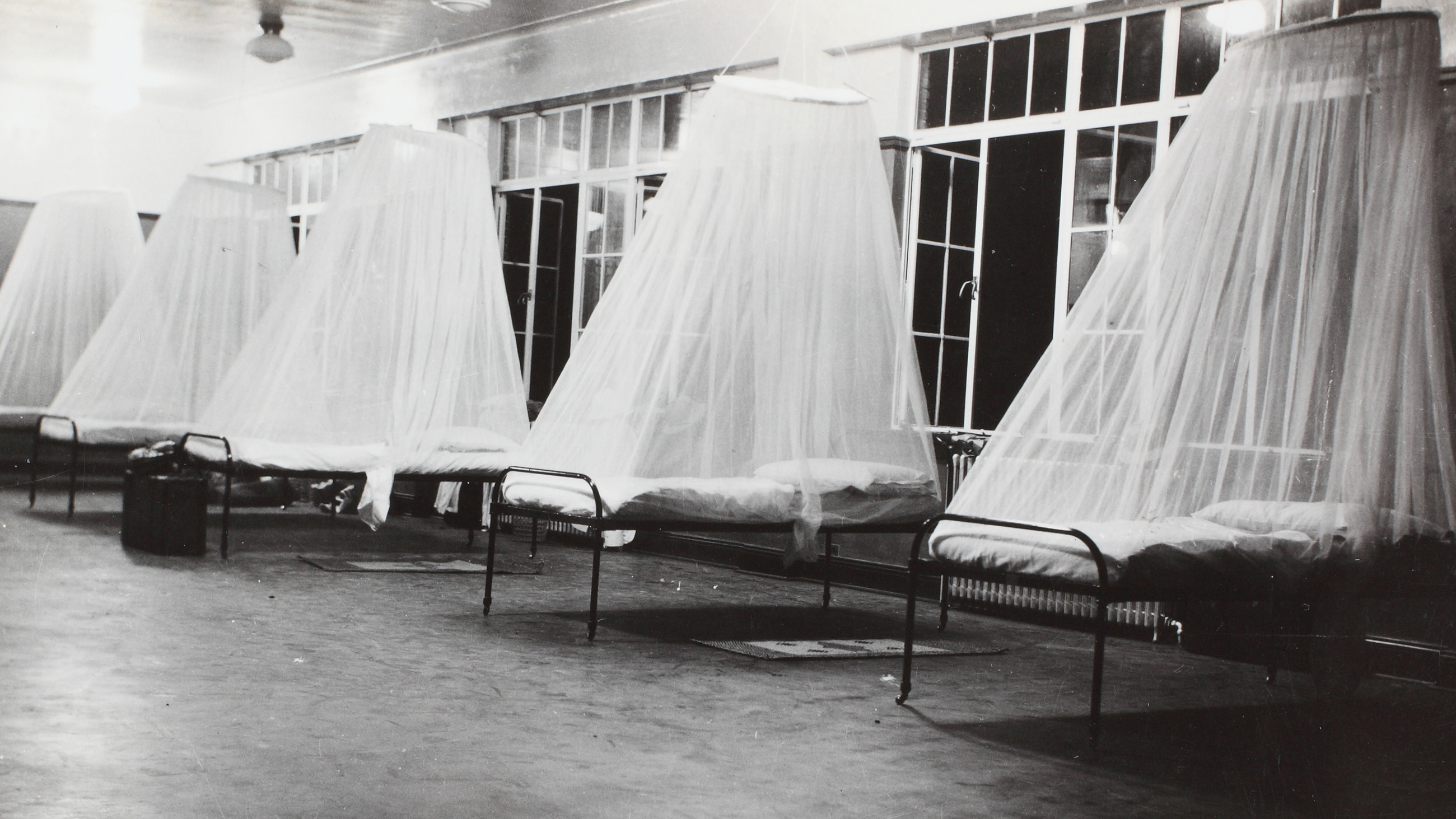 The science on this and other mosquito control technologies is sorely lacking. Visual by Flickr