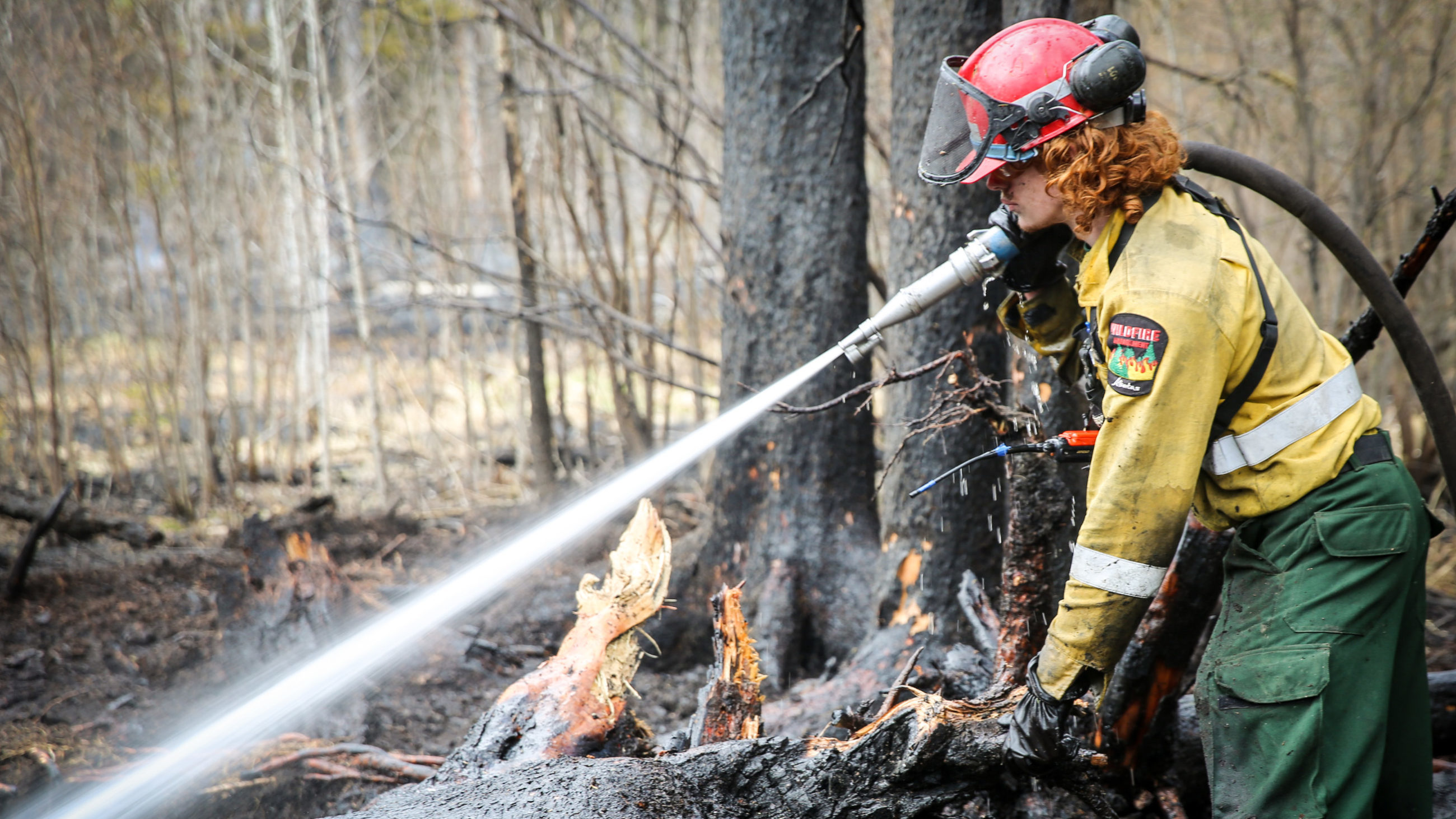 firefighter in Alberta