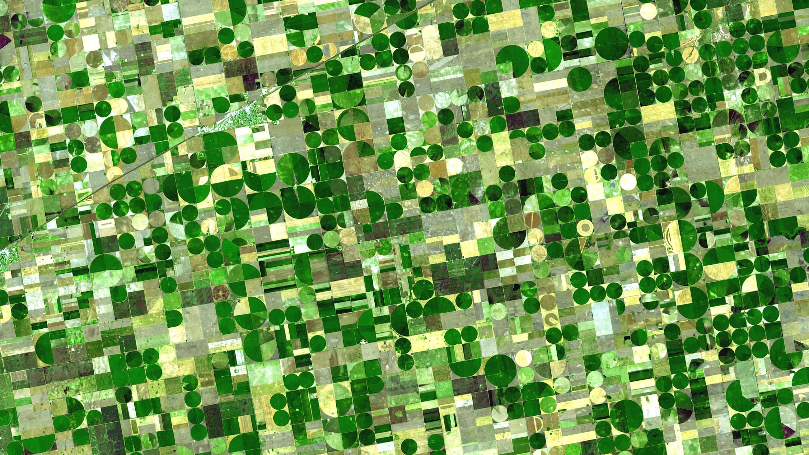 Could drones more accurately disperse pesticides in places like Finney County, Kansas?