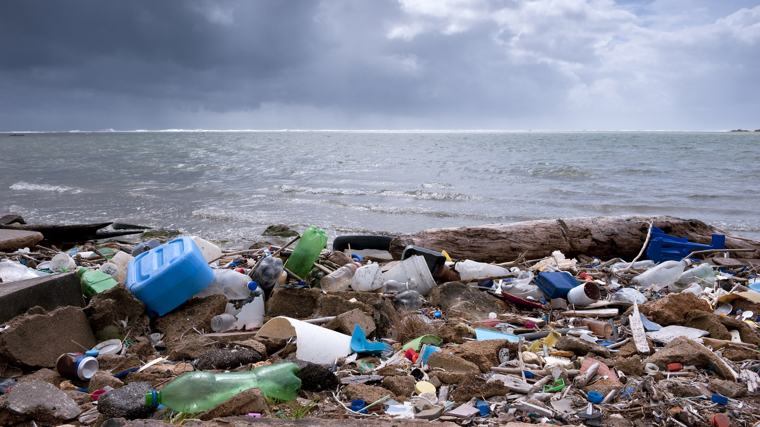 Aside from the visible plastic debris that washes up on shore, tiny fragments make their way below the surface of the water.