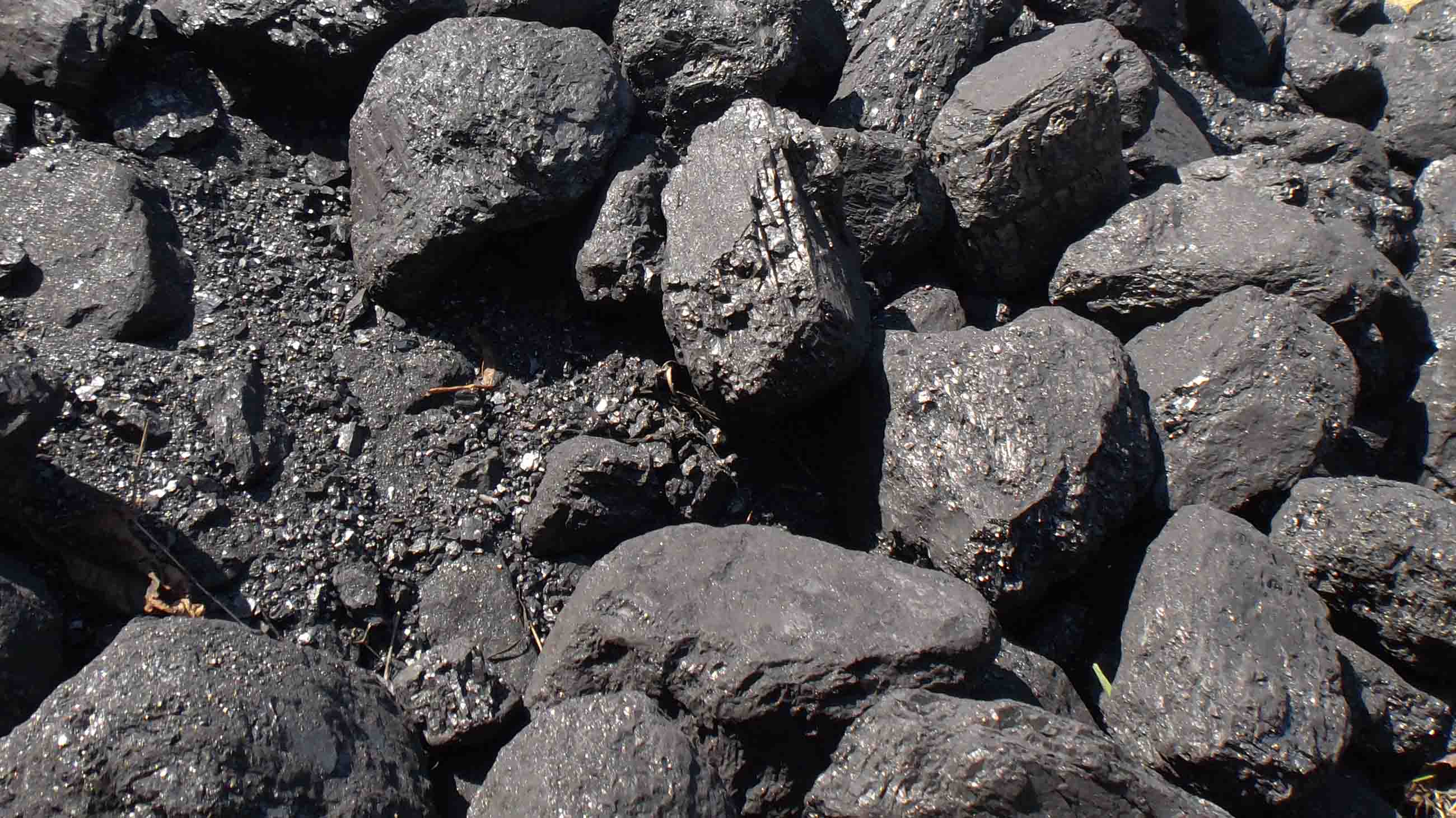 New findings cast a harsh light on the Trump administration's  effort to repeal Obama-era regulations on coal.