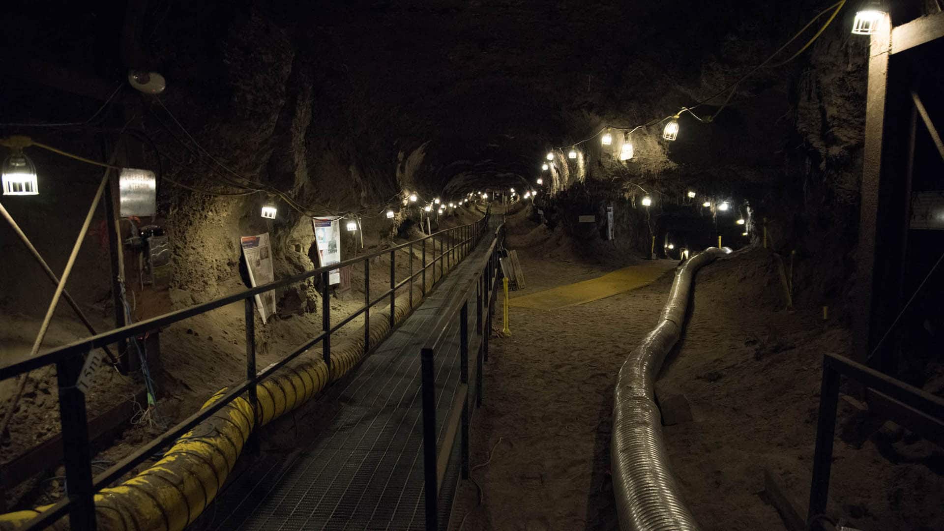 A metal boardwalk extends into the interior of the Fox tunnel. All images by Whitney McLaren for Undark.