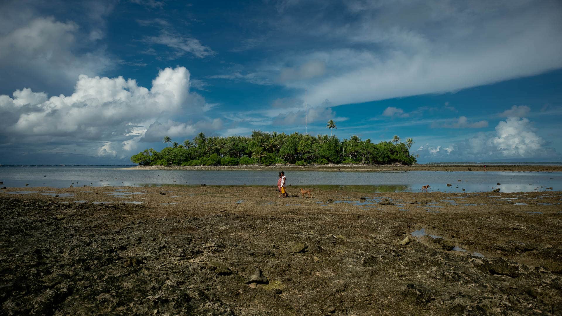Low-lying atolls that comprise the Marshall Islands could be completely engulfed by sea level rise.