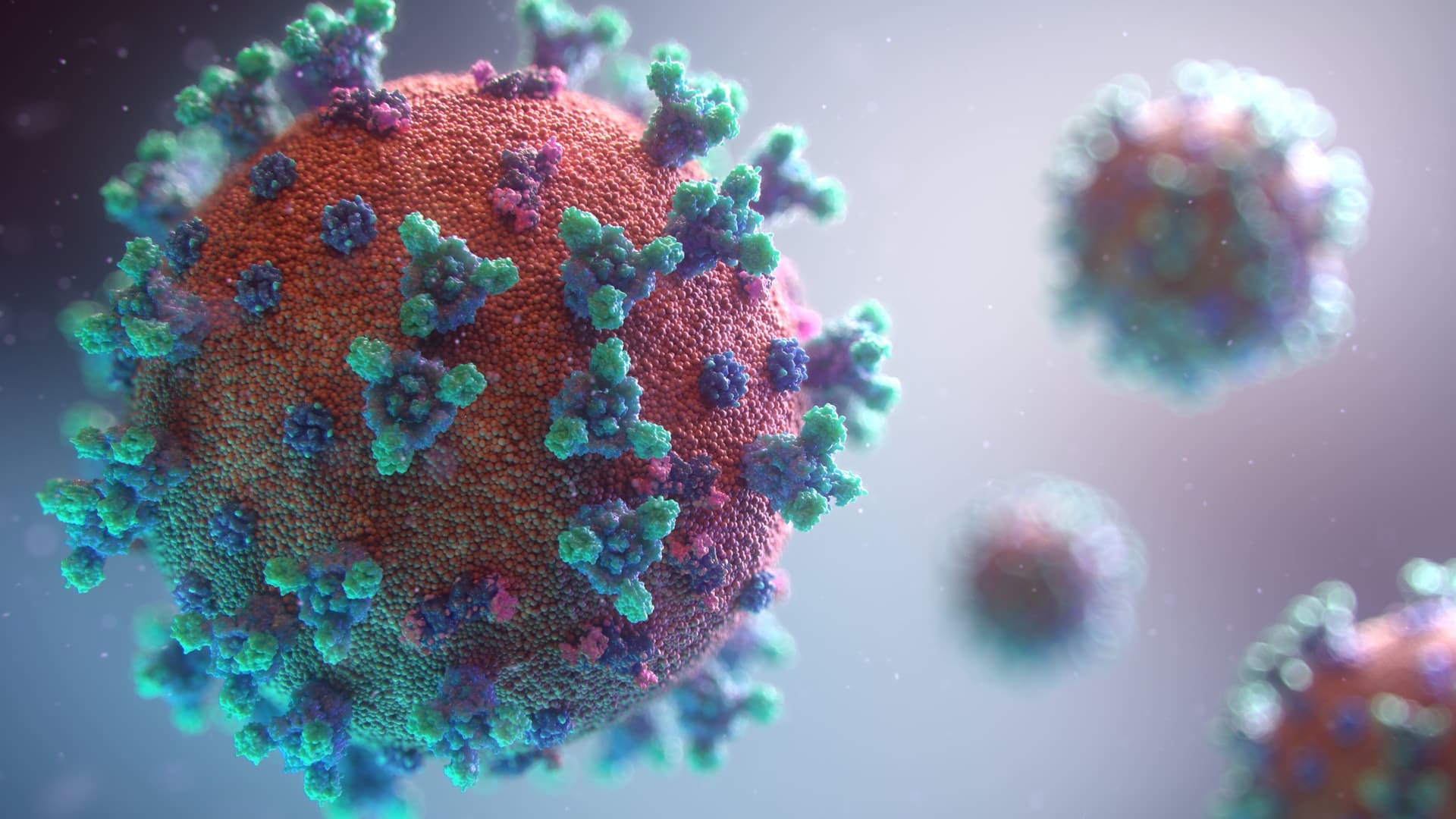 A visualization of SARS-CoV-2, the virus that causes Covid-19.