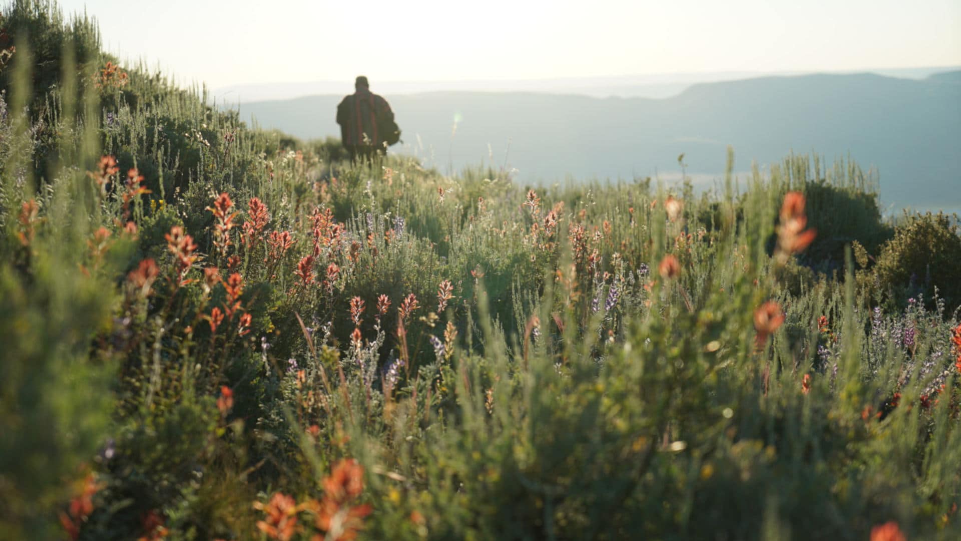 The Pine Forest Range Wilderness Area in Nevada.
