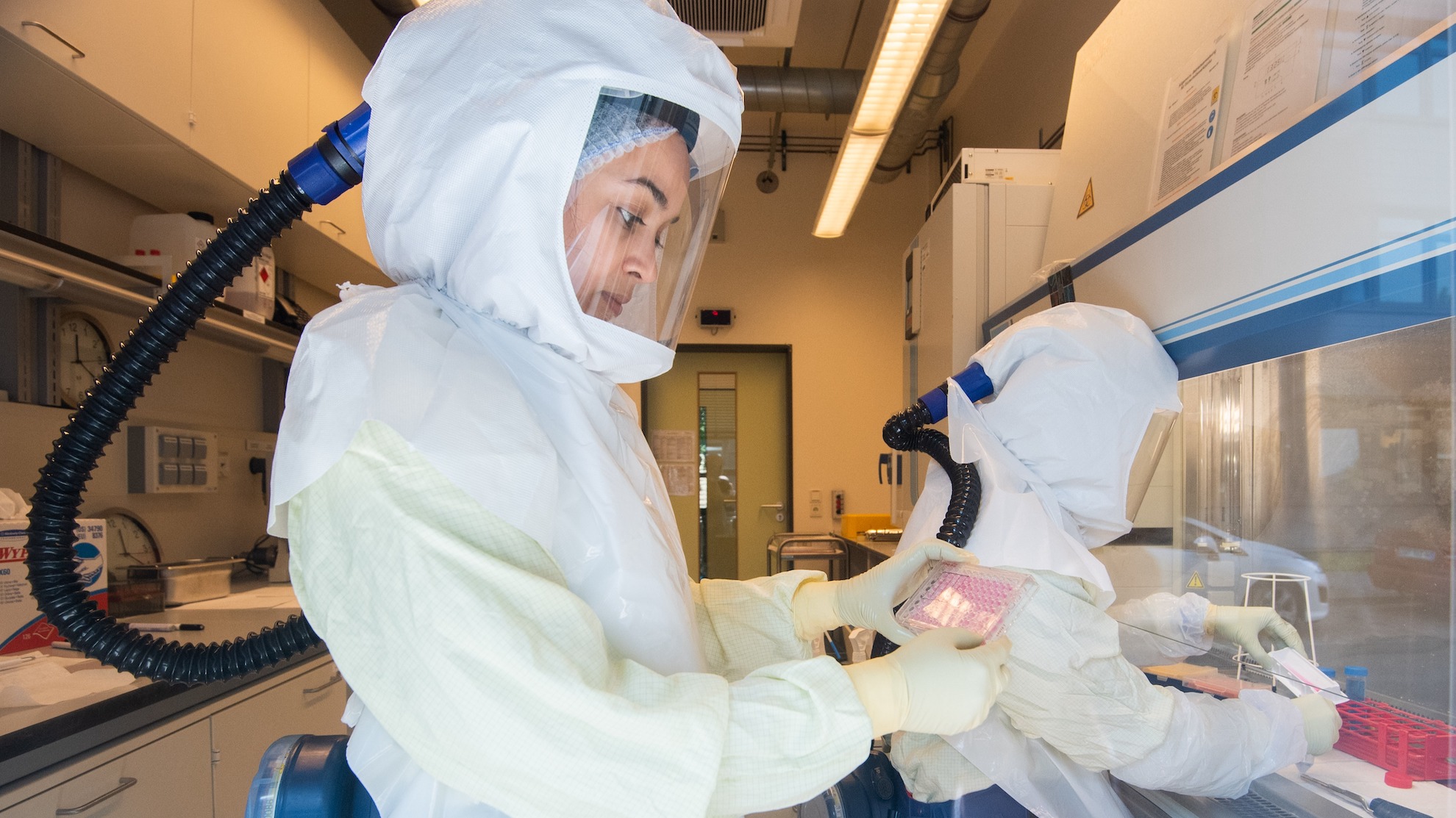 A scientist holds a multiwell plate with cell cultures infected by coronavirus in a Biosafety Level 3 laboratory (high-security laboratory) at the Helmholtz Centre for Infection Research HZI. Photographed in May 2020.
