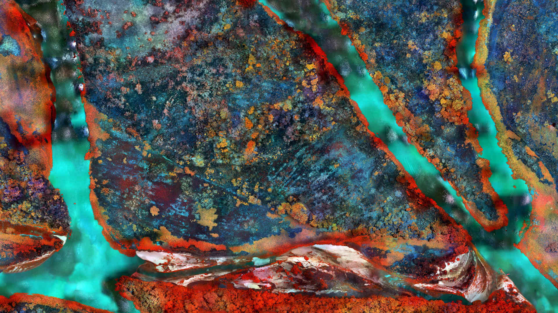 Multispectral imaging depicts destruction of the the Pantanal, the world’s largest tropical wetland. In this map, reds show healthy foliage along the Rio São Lourenço, yellows show stressed plant life, while blues and blacks indicate where the forest has died.